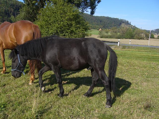Snímek 007.jpg