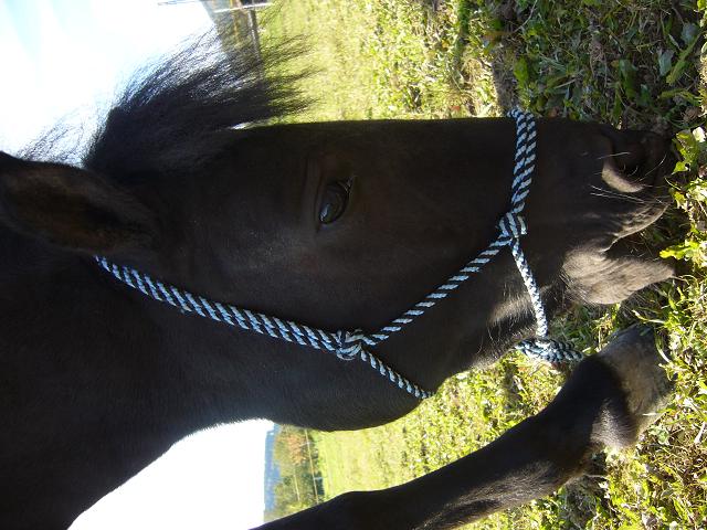 Snímek 033.jpg
