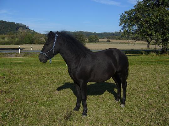 Snímek 041.jpg
