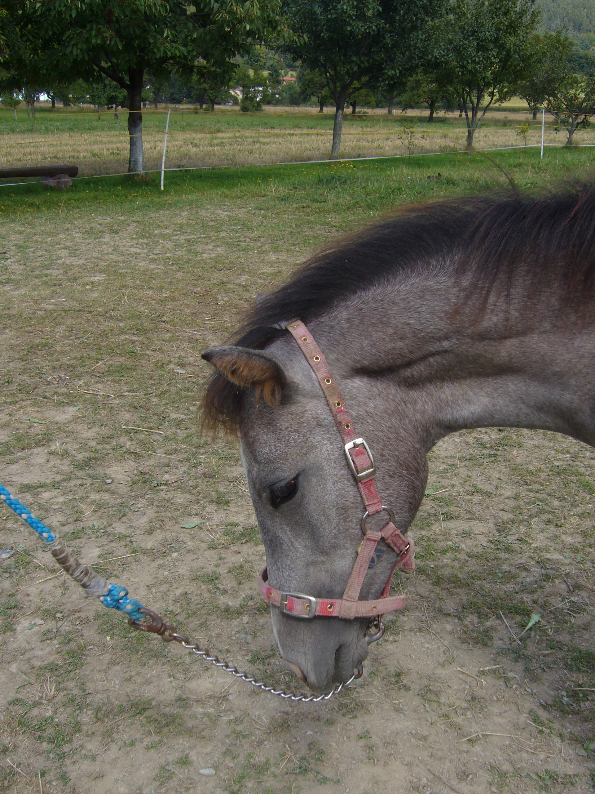P1000810.JPG