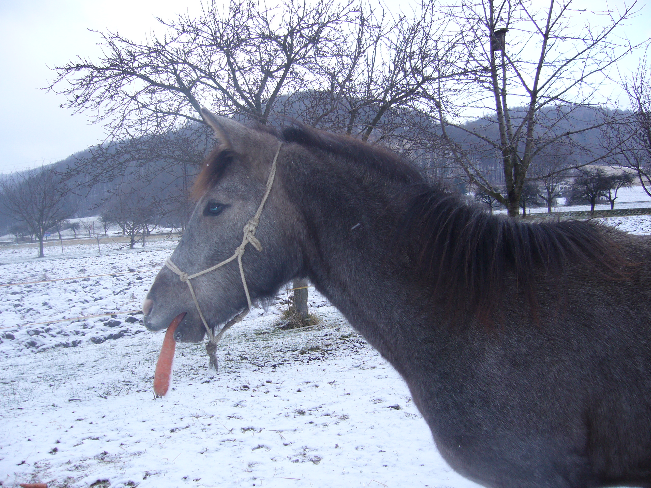 P1010061.JPG