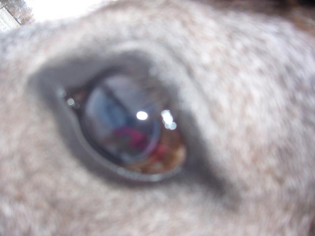 P1010185.JPG